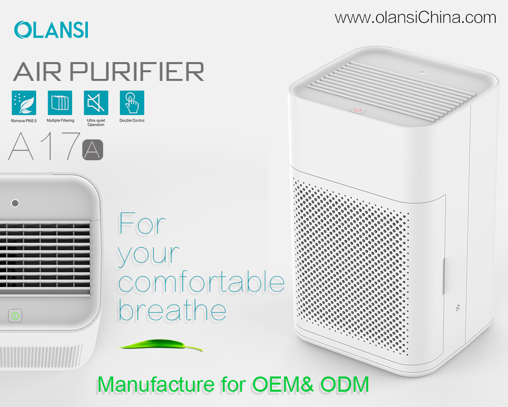 Porcellana Funzione Scopo del purificatore d'aria e la migliore guida di acquisto del purificatore d'aria