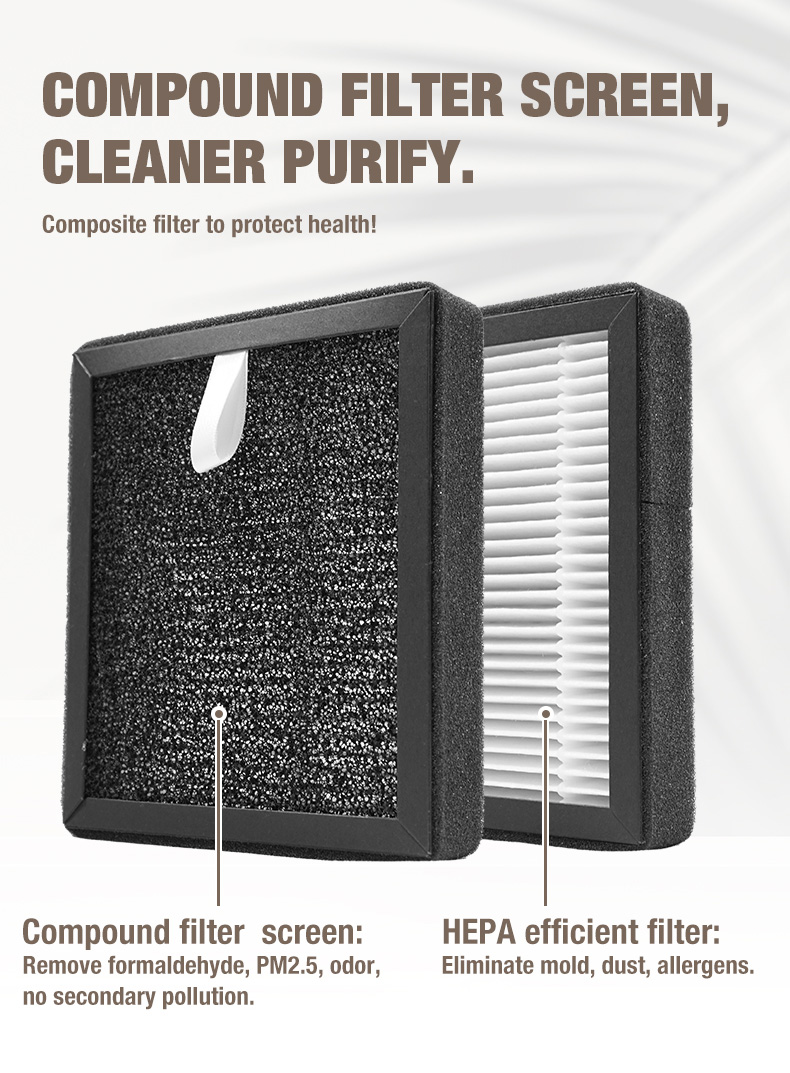 Purificatore d'aria Olasti A1 fornitore (11)