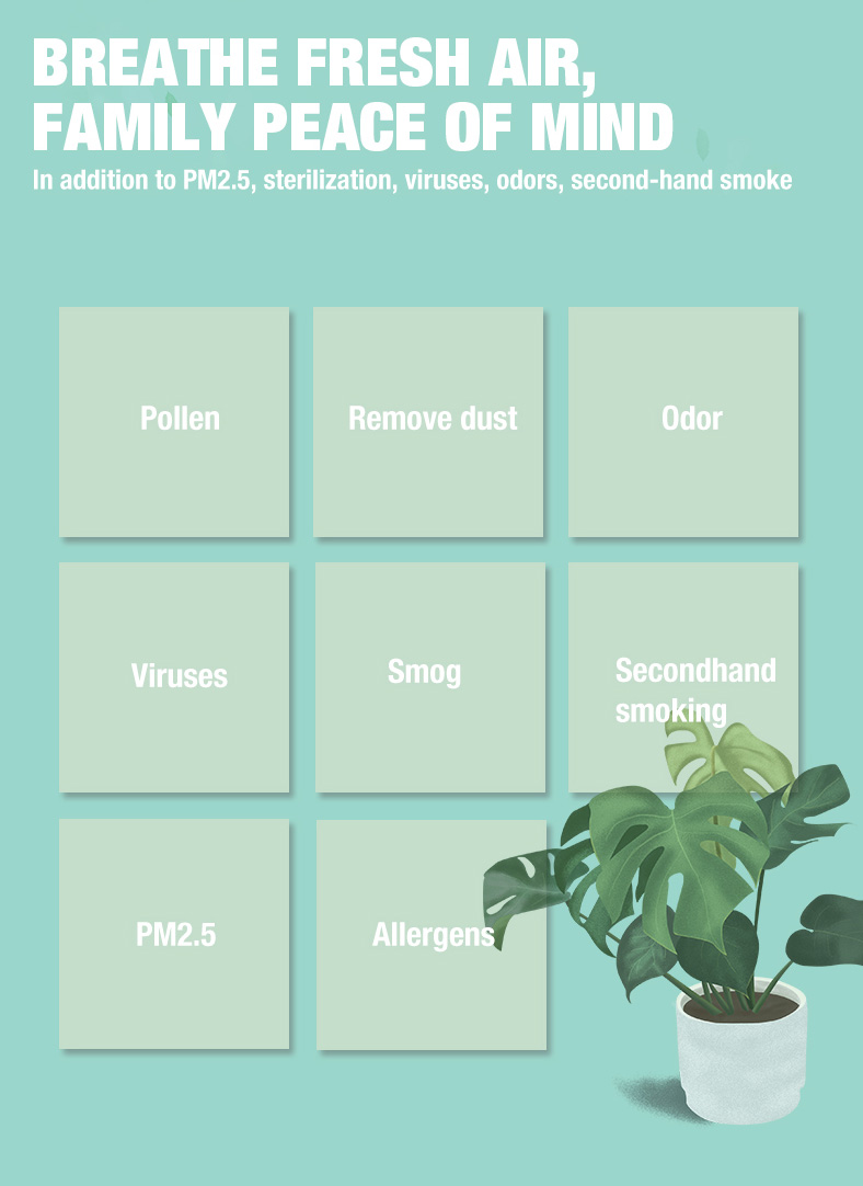 Purificatore d'aria da tavolo Olansi A4 Pro (3)