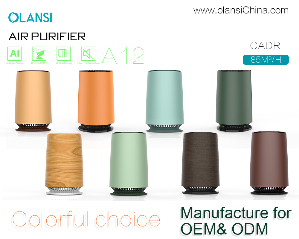 Fornitori di purificatori d'aria Olansi (15)