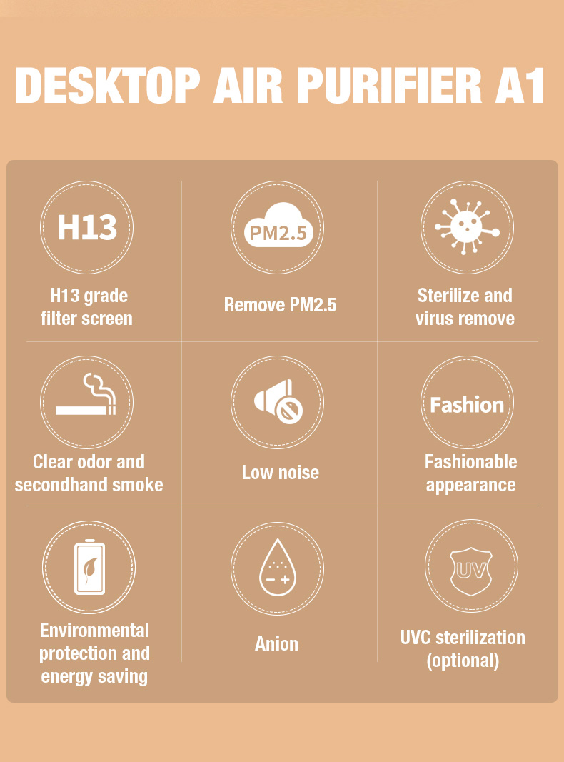 Fornitore di depuratore d'aria Olasti A1 (2)