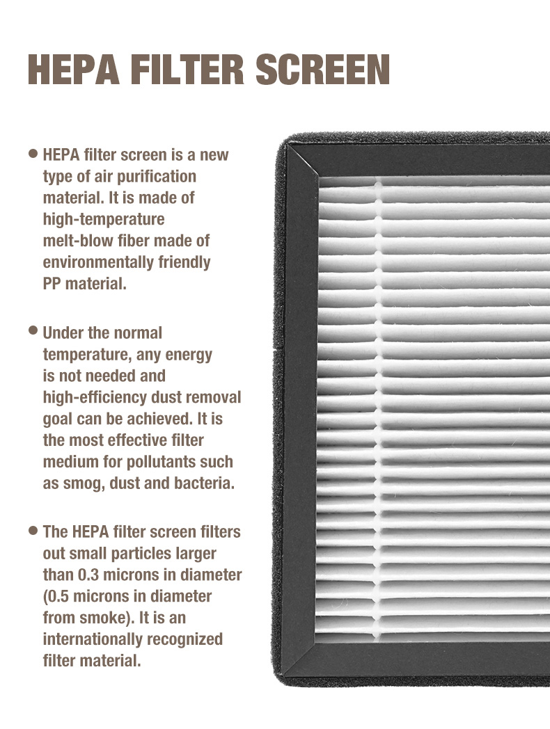 Fornitore di depuratore d'aria Olasi A1 (12)