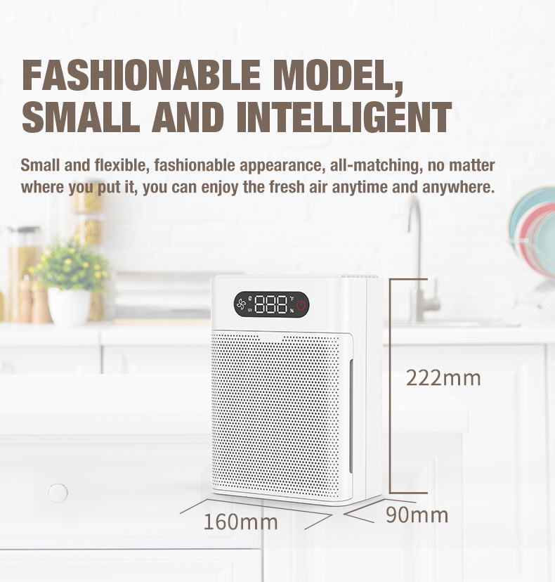 Fornitore di depuratore d'aria Olasi A1 (3)