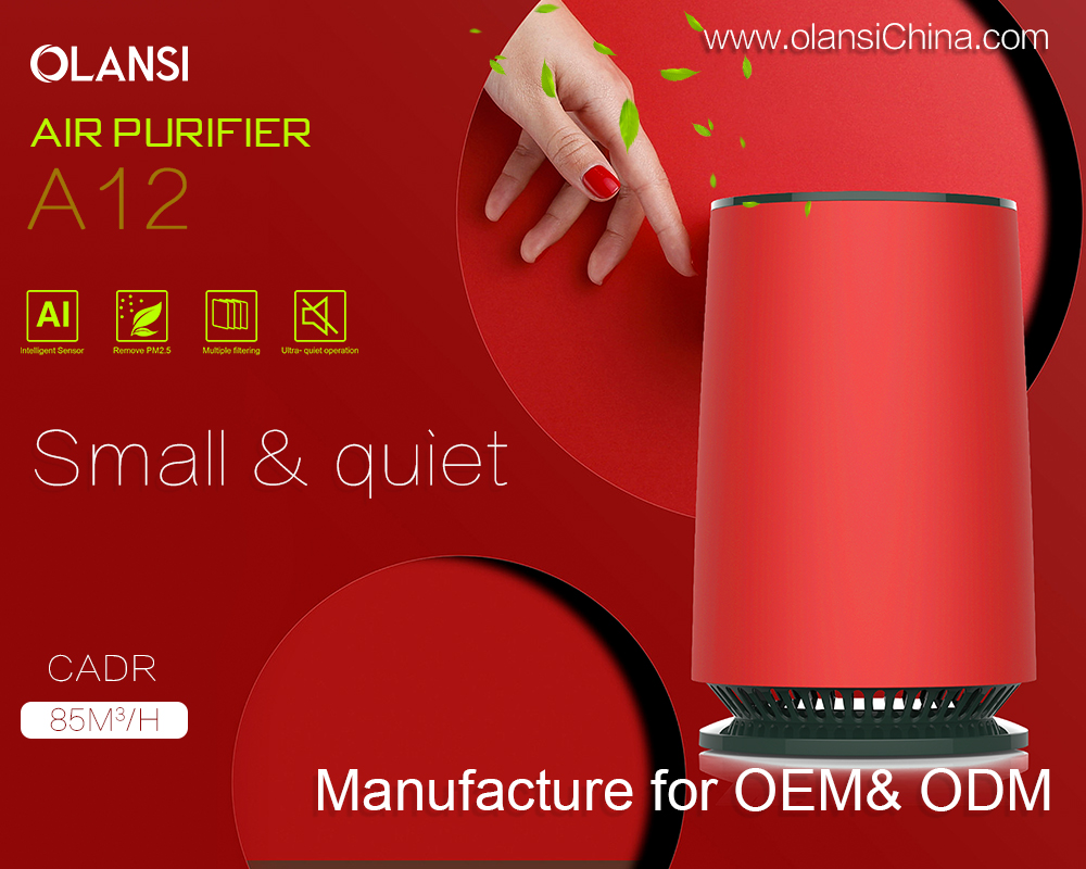 fornitori purificatore dell'aria Olansi (13)