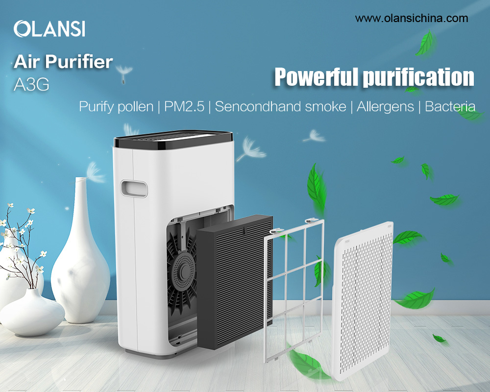 Olansi china air purifier factory (2)