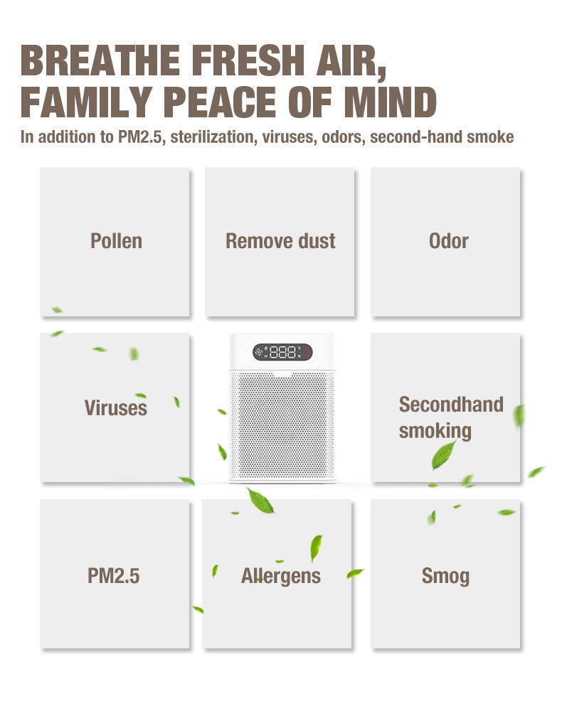 Fornitore di depuratore d'aria Olasi A1 (6)