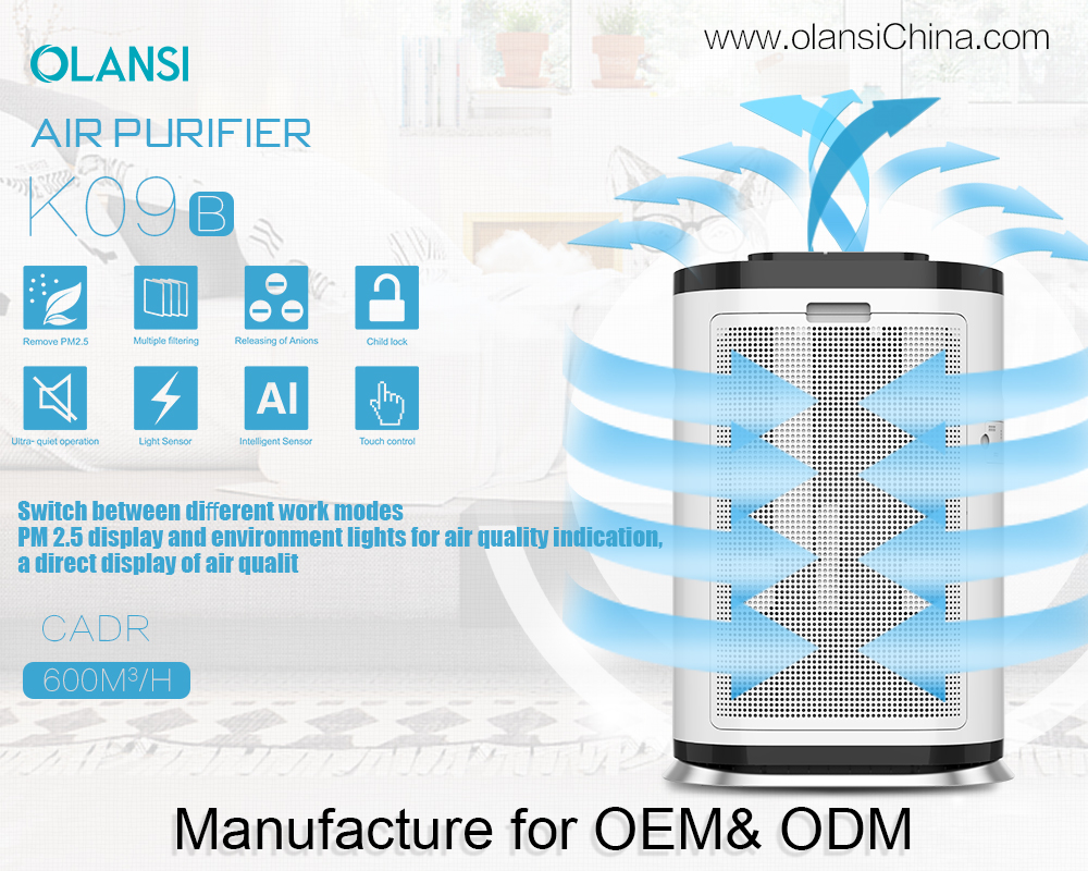 Fornitore di depuratore d'aria di Olasti (16)